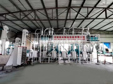 贵州威宁草海日处理30吨荞麦加制粉设备